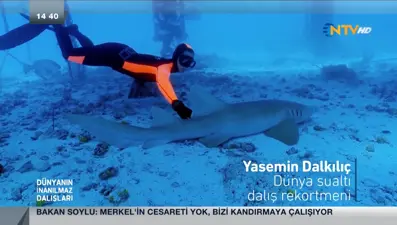 Dünyanın İnanılmaz Dalışları 5 Haziran 2016