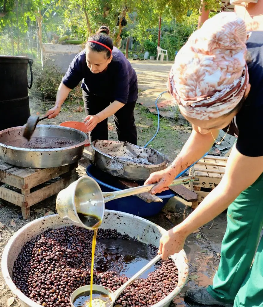 Binbir zahmetle yapılıyor, litresi 100 TL'ye satılıyor: Defne yağı 3