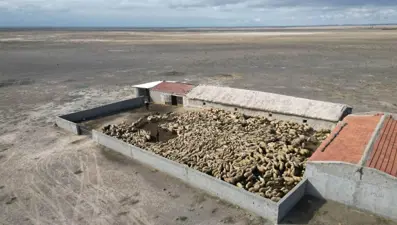 Hırsızlar çobanları yaralayarak bin 200 küçükbaş hayvanı çaldı