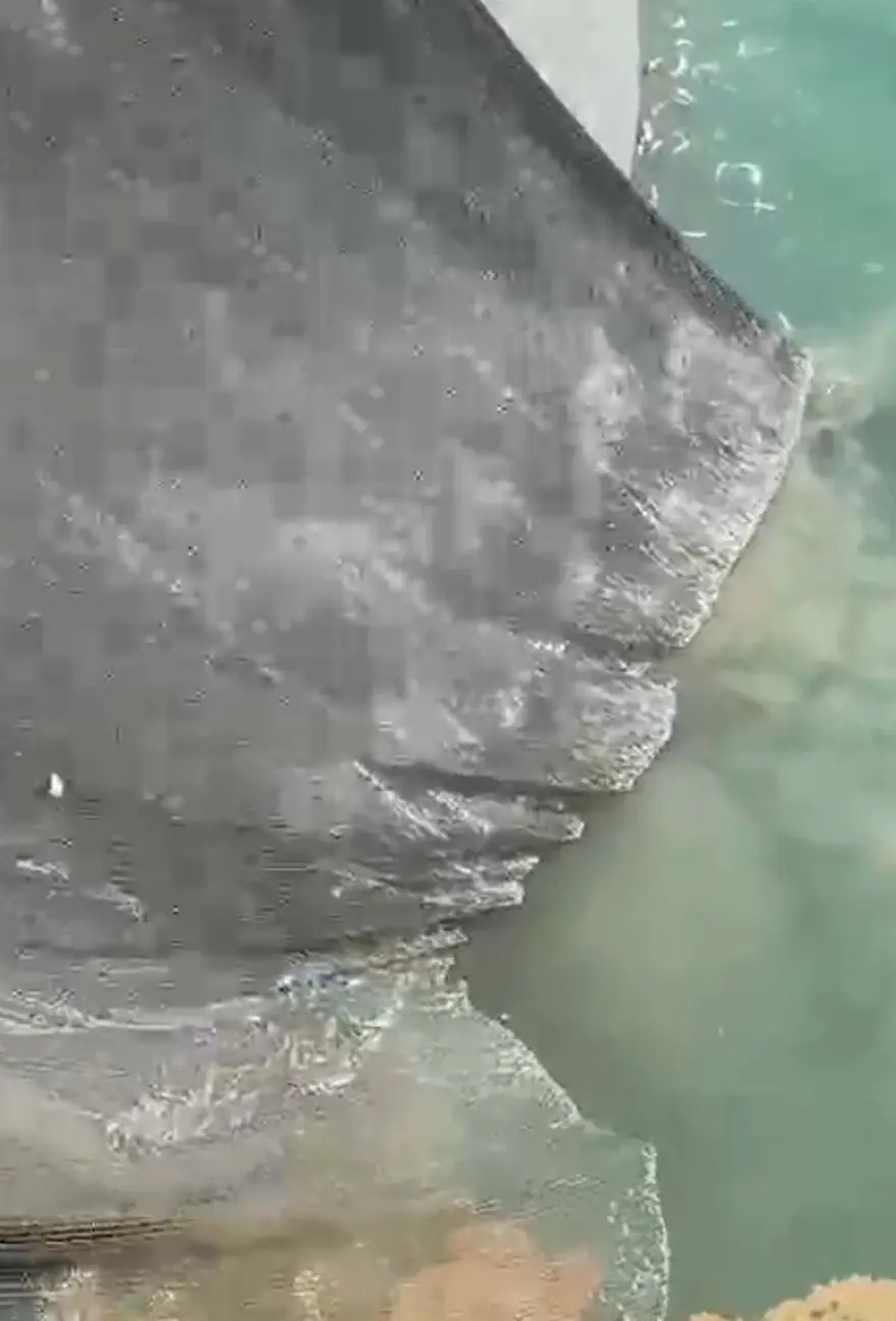 'BU YIL TARİHTE İLK DEFA TEKİRDAĞ BÖLGESİNDE MÜSİLAJ BAŞLANGICI OLDU' 2