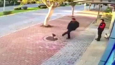 Kedileri vahşice tekmeleyen şüpheli hakkında yasal işlem başlatıldı