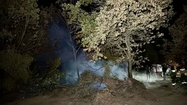 Gebze'deki orman yangını kontrol altında