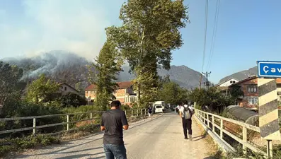 Bartın'da orman yangını