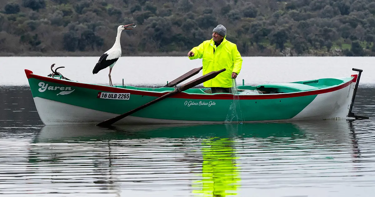 Türkiye'nin merakla beklediği Yaren Leylek geldi. Adem Amca ile Yaren'in buluşması 15. yılda da gerçekleşti