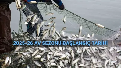 Balık sezonu açılıyor! Denizlerde av yasağı ne zaman bitiyor?