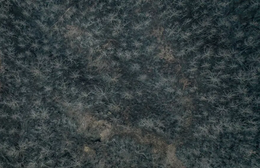 İŞTE YANGIN BİLANÇOSU 6