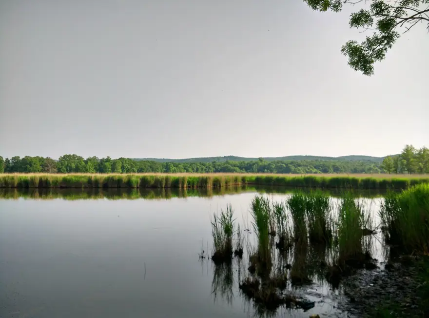 İstanbul çevresindeki en iyi kamp alanları 41 İstanbul çevresindeki en iyi kamp alanları 41