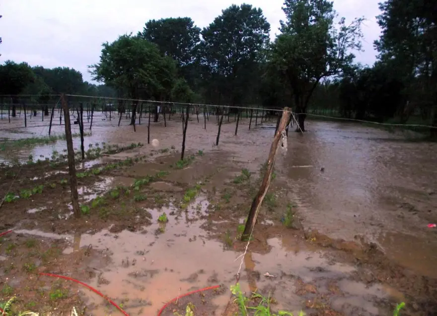 Sağanak tarım arazilerine zarar verdi 4