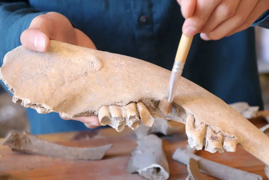 Tatarlı Höyük'te Orta Demir Çağ'a ait depolama alanı bulundu 13 Tatarlı Höyük'te Orta Demir Çağ'a ait depolama alanı bulundu 13