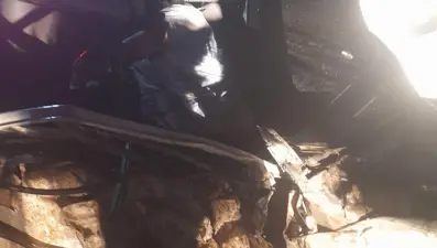 Şanlıurfa'da minibüs ile otomobil çarpıştı: 1 ölü, 3 yaralı