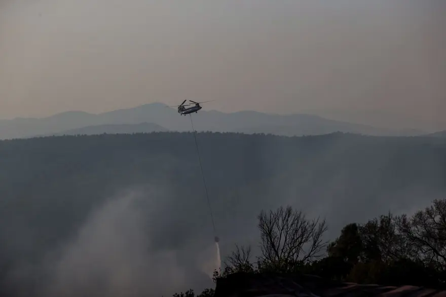 Çanakkale'de orman yangını kontrol altında 77