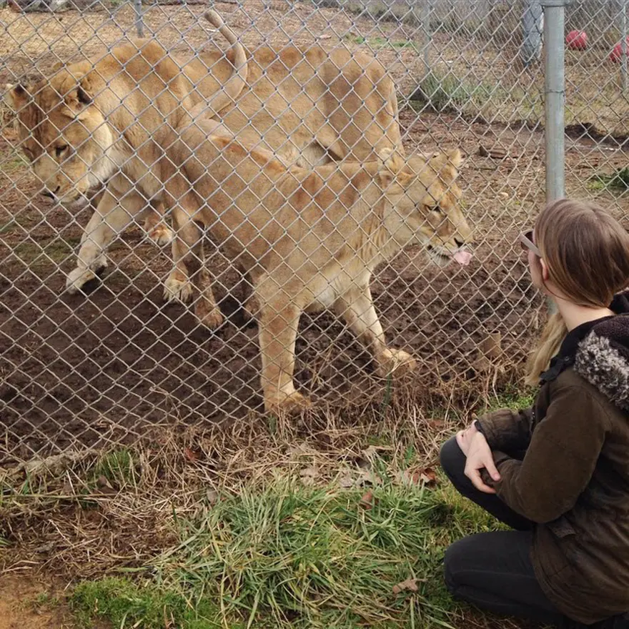 Hayatını kedileri kurtarmaya adadı 127