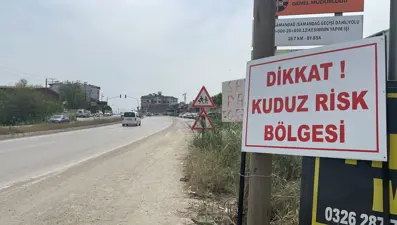 Hatay’da kuduz karantinası: Aşılama çalışması başladı
