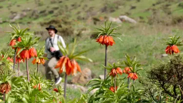 Hakkari'deki Şivişk Vadisi büyük ilgi görüyor