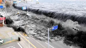 Tsunami 500 km hızla vurdu
