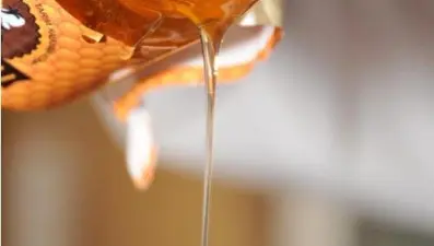 Anzer balının kilosu 1200 TL oldu