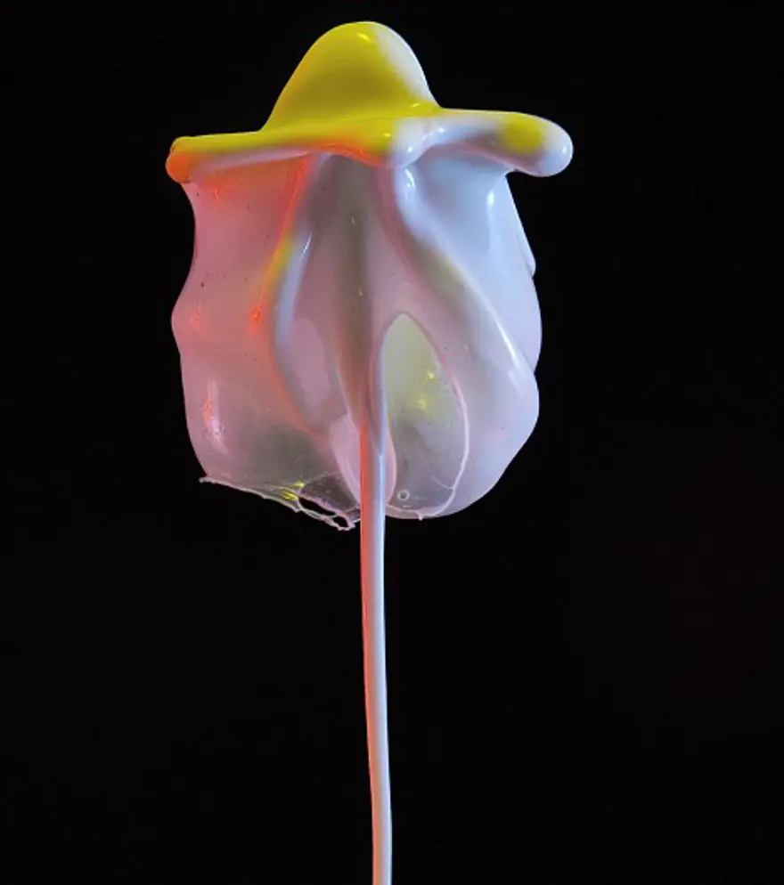 Tablo gibi çiçekler 11