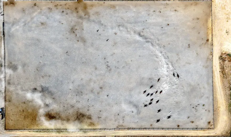 5 yılda 210 milyon lira gelir sağlandı: Açık artırmayla satışa çıkıyor 2