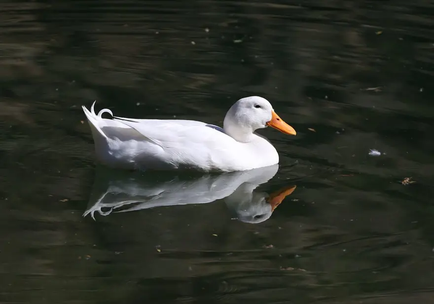 'Türkiye'nin 11. sakin kenti' Uzundere doğal güzellikleriyle salgından bunalanlara adeta nefes aldırıyor 10