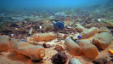 Su altındaki kirlilik film oldu