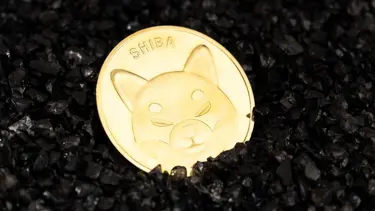 Tüm zamanların en büyük bireysel ticareti: Shiba Inu ile 14 ayda 8 bin doları 5,7 milyar dolar oldu