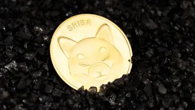 Tüm zamanların en büyük bireysel ticareti: Shiba Inu ile 14 ayda 8 bin doları 5,7 milyar dolar oldu