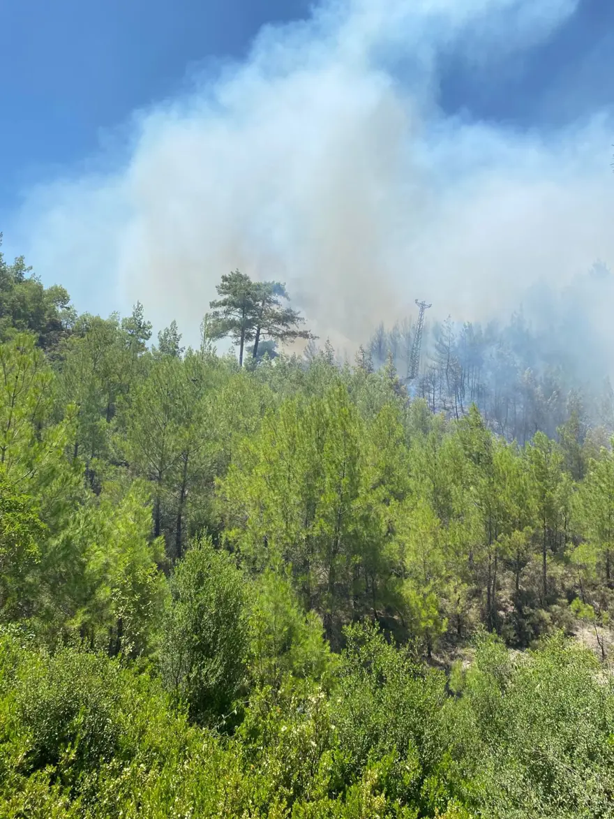 Antalya Kaş'ta orman yangını 2