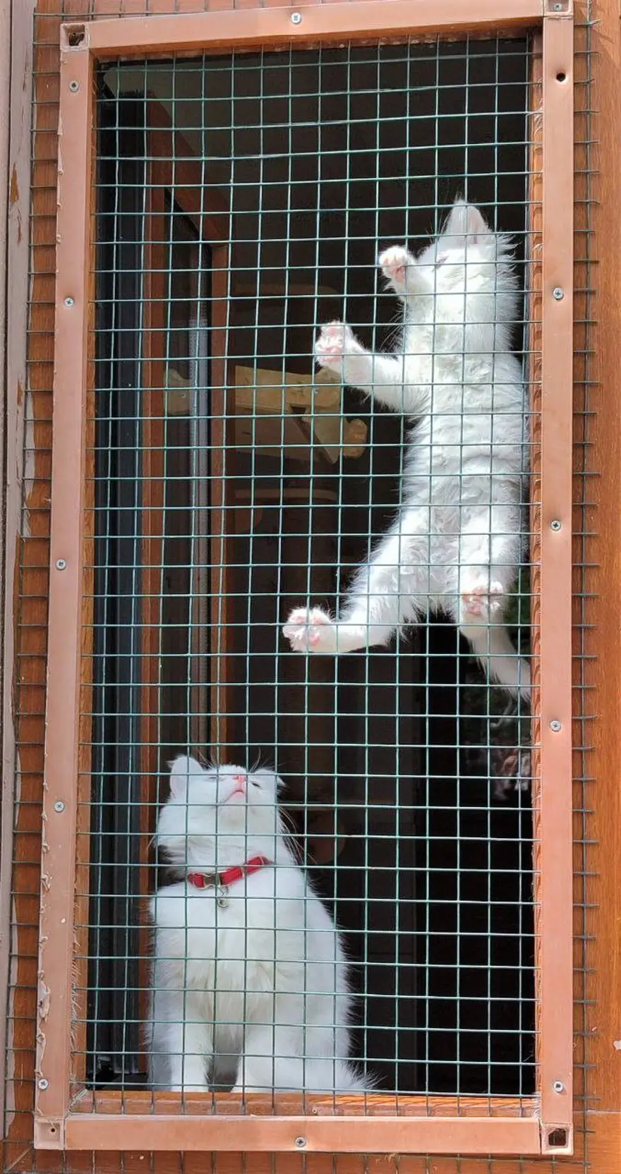 "MERKEZDE YIL BOYUNCA 3 DÖNEM DOĞUM GERÇEKLEŞİYOR" 3 "MERKEZDE YIL BOYUNCA 3 DÖNEM DOĞUM GERÇEKLEŞİYOR" 3