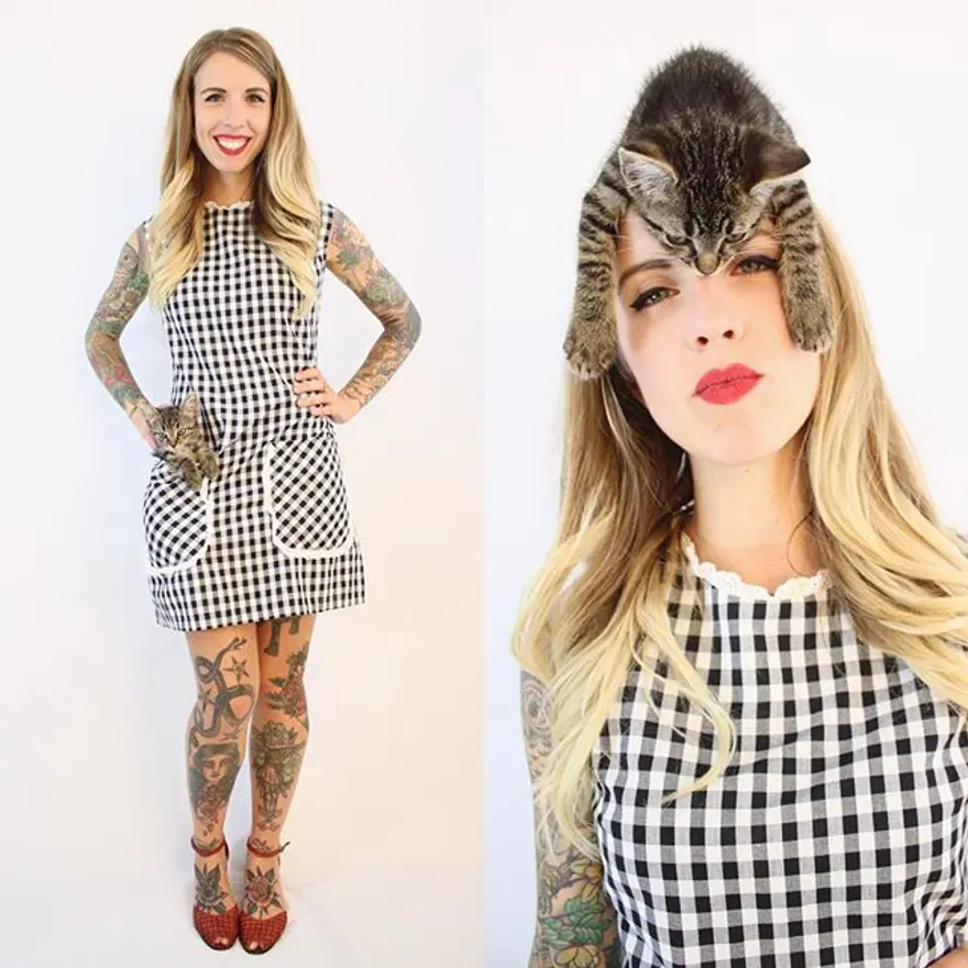 Hayatını kedileri kurtarmaya adadı 280