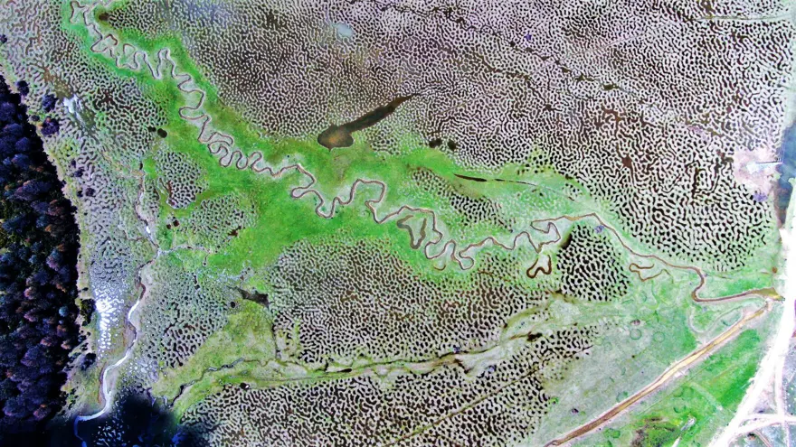 Türkiye'de böylesini hiç görmediniz! Sakarya'daki Karagöl Yaylası hayran bıraktı 1 Türkiye'de böylesini hiç görmediniz! Sakarya'daki Karagöl Yaylası hayran bıraktı 1