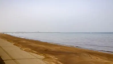 Petrol sızıntısı nedeniyle plajlar kapatıldı: "Kıyafet ve ciltte lekeler oluşuyor"