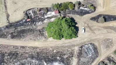 Alevlertüm köyü sardı, köylüler asırlık ağacı korumak için seferber oldu