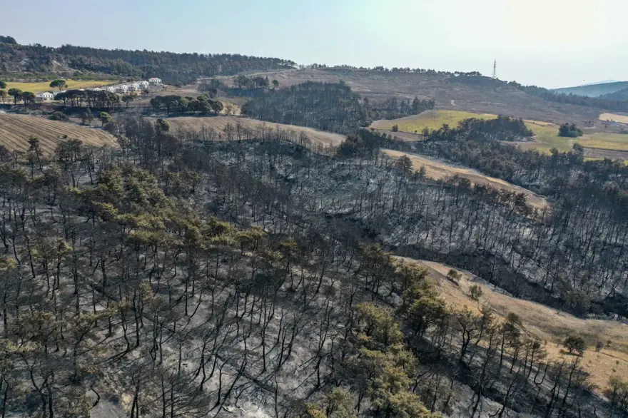 Çanakkale'de orman yangını kontrol altında 23