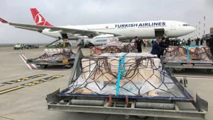 Çingene Kızı'nın parçaları evine döndü Çingene Kızı'nın parçaları evine döndü