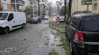 Almanya'da fırtına hayatı felç etti