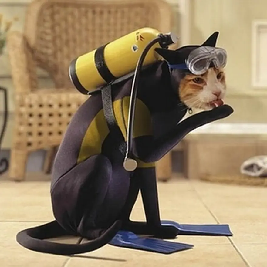 Poz verme sanatı 13