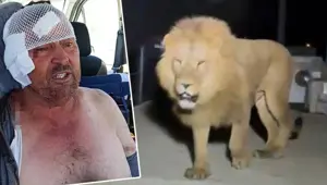Manavgat'ta aslanın saldırısına uğradı: Sağlık durumu hakkında yeni gelişme Manavgat'ta aslanın saldırısına uğradı: Sağlık durumu hakkında yeni gelişme