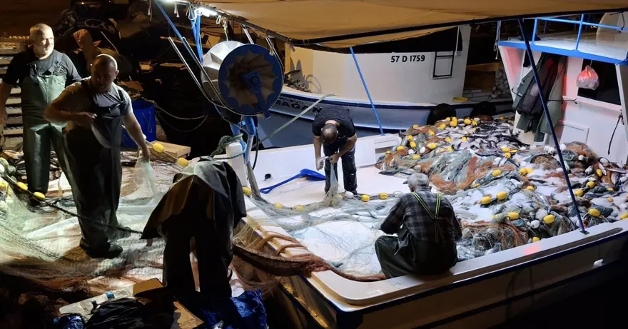 Balıkçıların yüzü güldü : 1 gecede yaklaşık 9 bin palamut 3