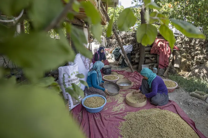 Coğrafi işaretli "Ulukale Dutu" geçim kaynağı oldu! Güneşin karşısında kurutuluyor, elekten geçirilerek hazırlanıyor 21
