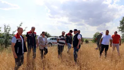 Edirne'de dolu: 10 bin dekar alanda zarar var