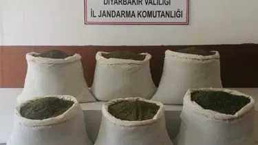 Diyarbakır'da 201 kilogram toz esrar ele geçirildi