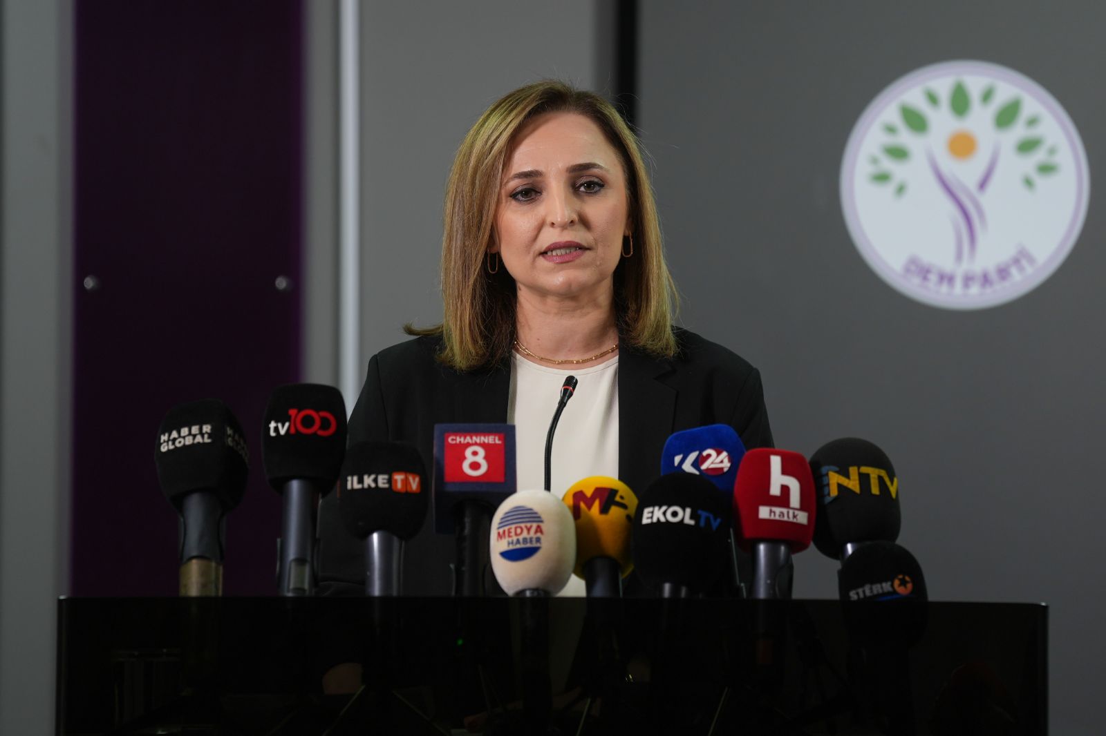 Silah bırakma için sayım: DEM Parti tarih verdi