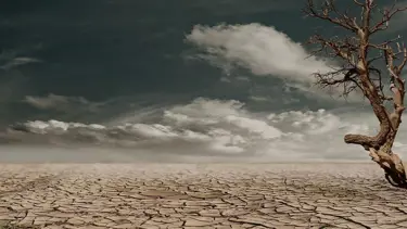 İklim değişikliğini anlatan "Değişimin Tohumları" belgeseli TRT World'de gösterilecek