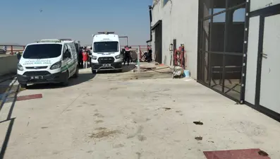 Besi çiftliğinde metan gazından zehirlenip öldüler