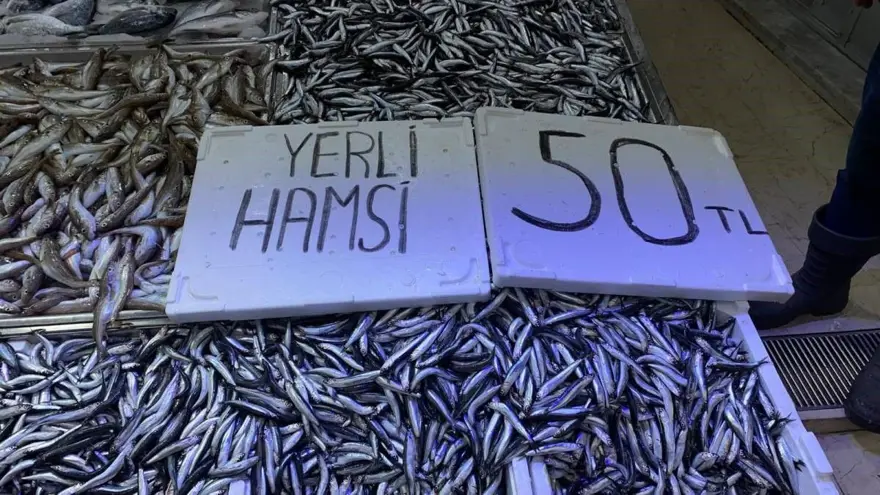 Kilosu 50 liraya kadar düştü: Tezgah önünde kuyruk oluyor 1 Kilosu 50 liraya kadar düştü: Tezgah önünde kuyruk oluyor 1