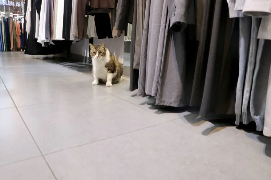 "HER GÜN GELİP ONA BAKAN KİŞİLER VAR" 4