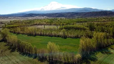 2B arazilerinde tapu süreci nasıl olacak? 6 soruda yanıtlandı