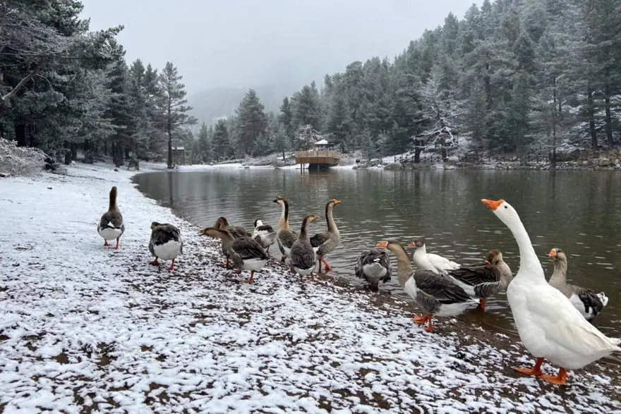 Gümüşhane'nin beyaz cenneti: Limni Gölü 6