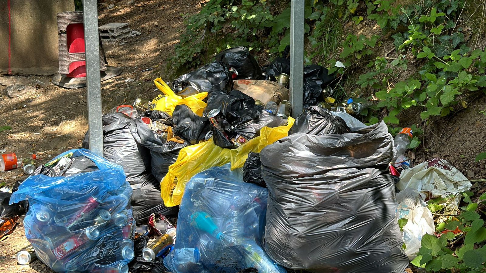 Belgrad Ormanı çöp yığınına döndü