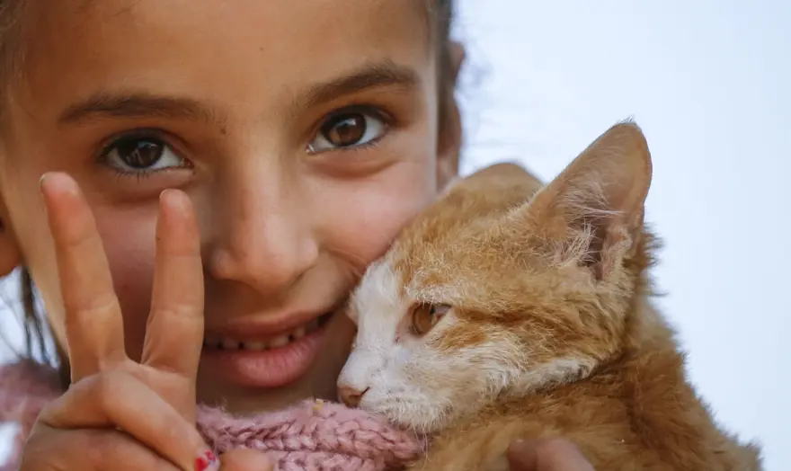 Savaştan minik kedisiyle kaçtı 6